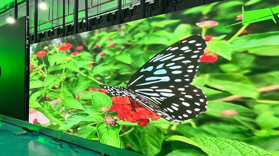 indoor led display.jpg
